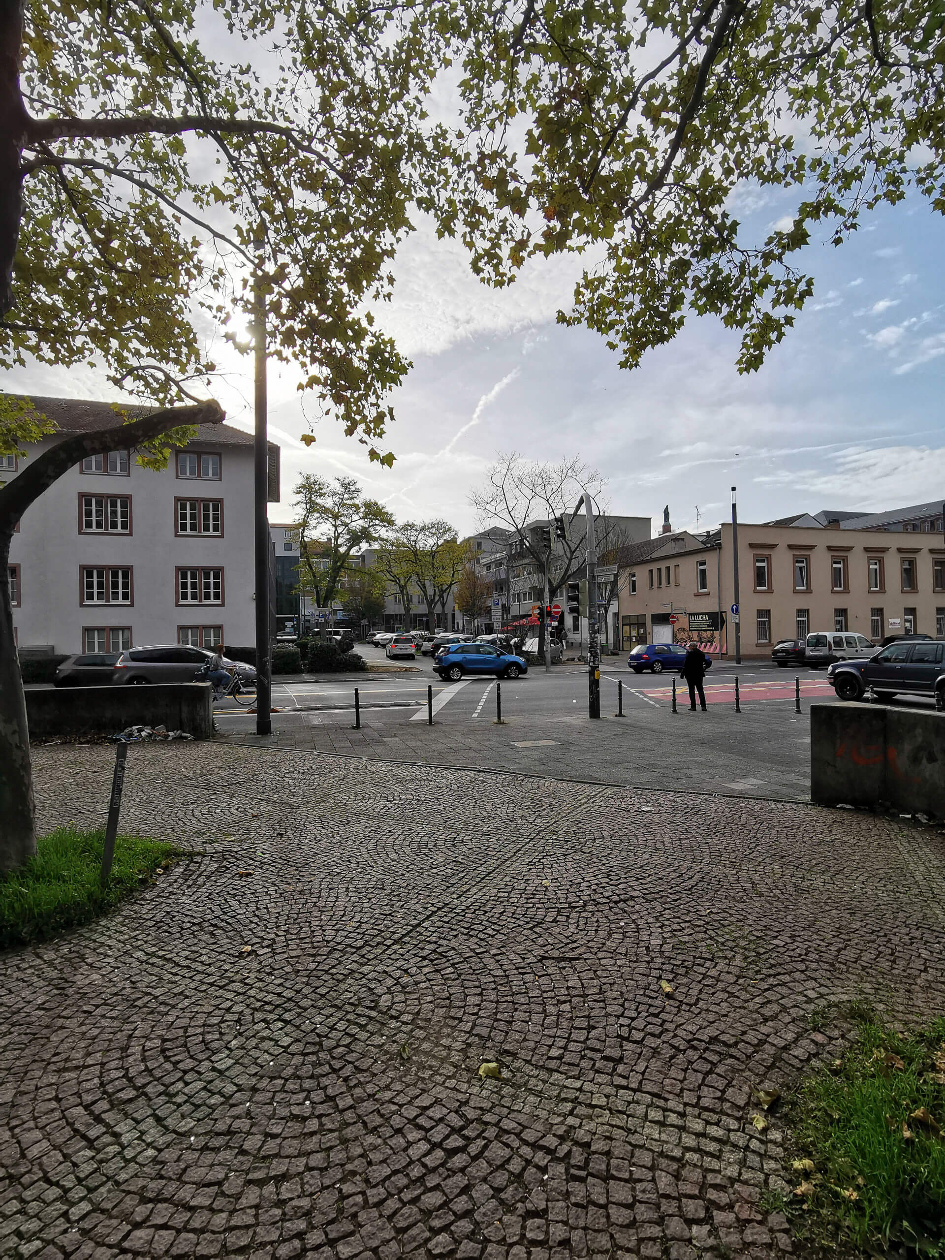 IMG_20221029_121417